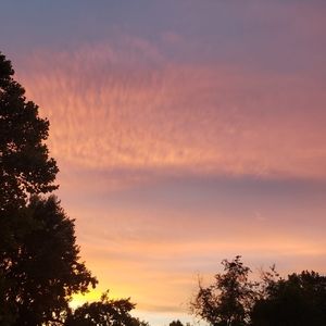 Meet your Posher, Wallace